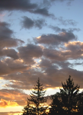 Kostenloses Foto: Farbiger Himmel - pixelio.de